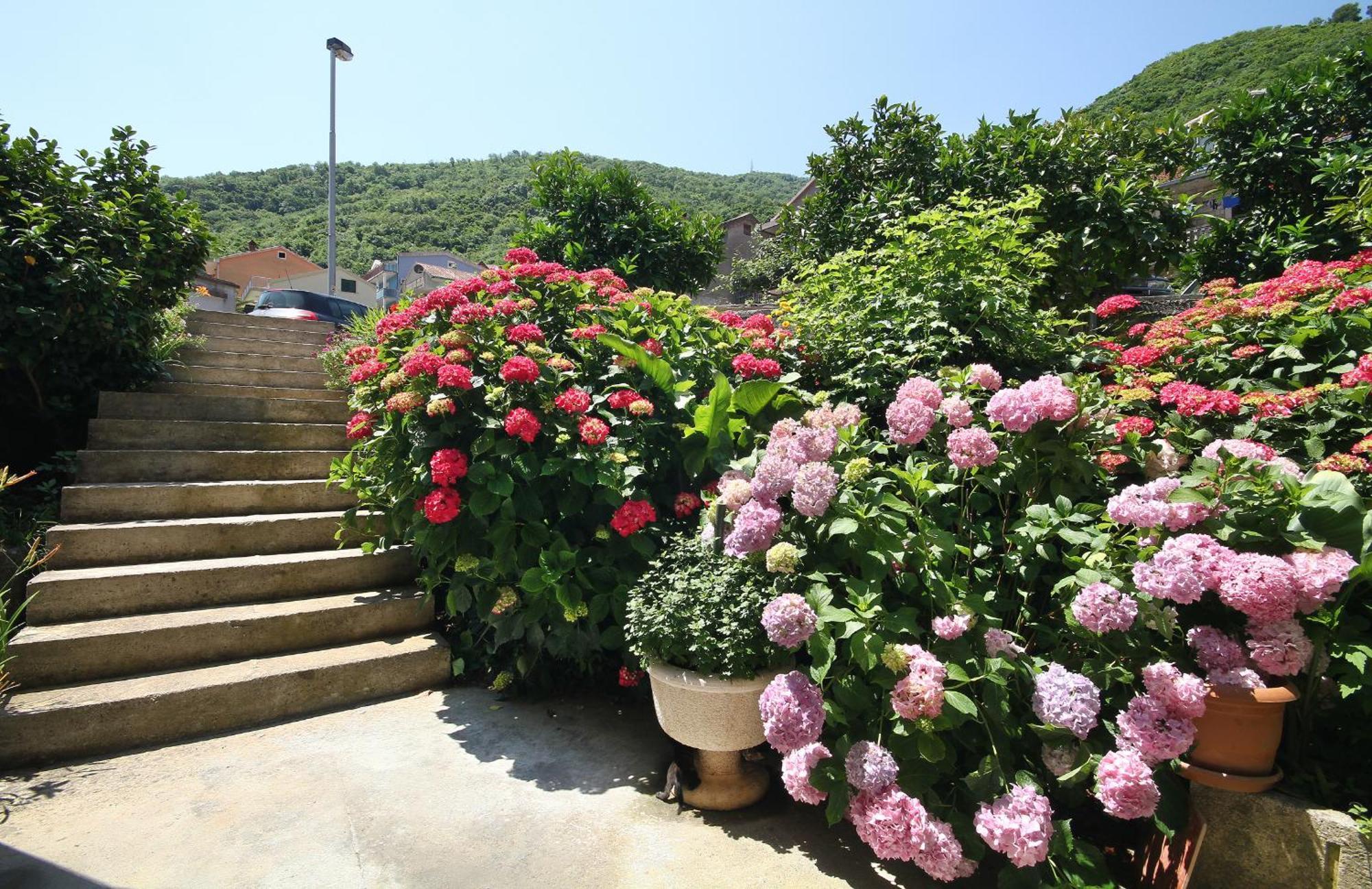 Apartments Raicevic Budva Buitenkant foto